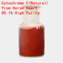 Cytochrome C Horse Heart Natural Extract and High Purity Cytochrome C CAS 9007-43-6